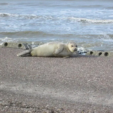 Haus-halligblick-ferienwohnung-pellworm Apartament *