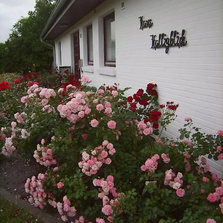 Apartment Haus-halligblick-ferienwohnung-pellworm