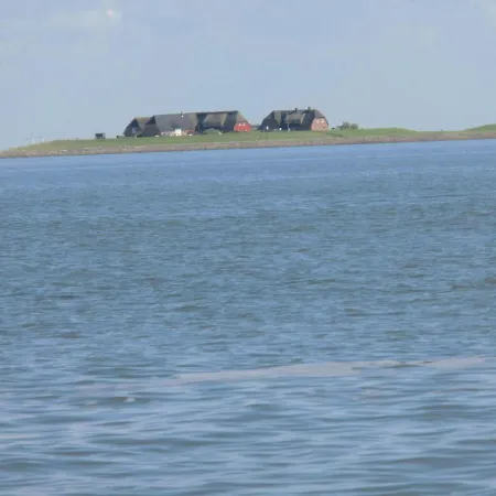 Haus-halligblick-ferienwohnung-pellworm Dagebüll