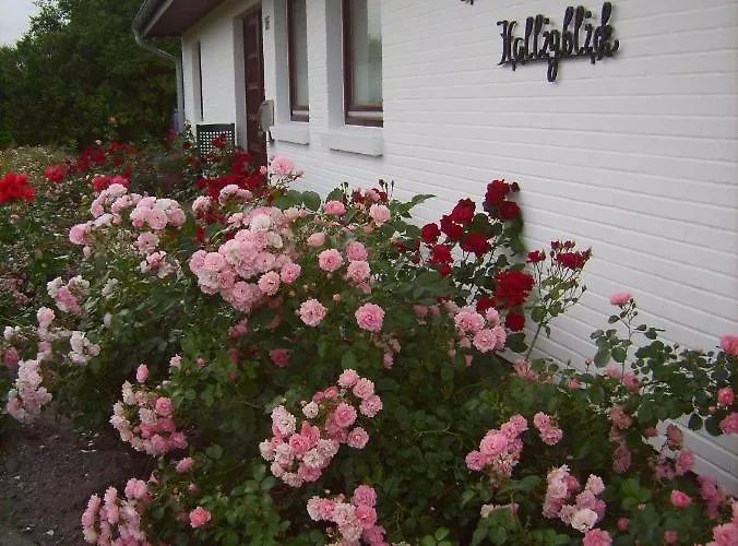 Appartement Haus-halligblick-ferienwohnung-pellworm