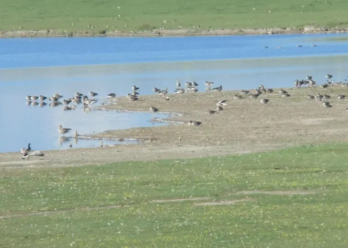 Haus-halligblick-ferienwohnung-pellworm * Dagebüll