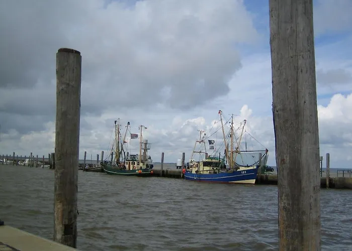 Haus-halligblick-ferienwohnung-pellworm *