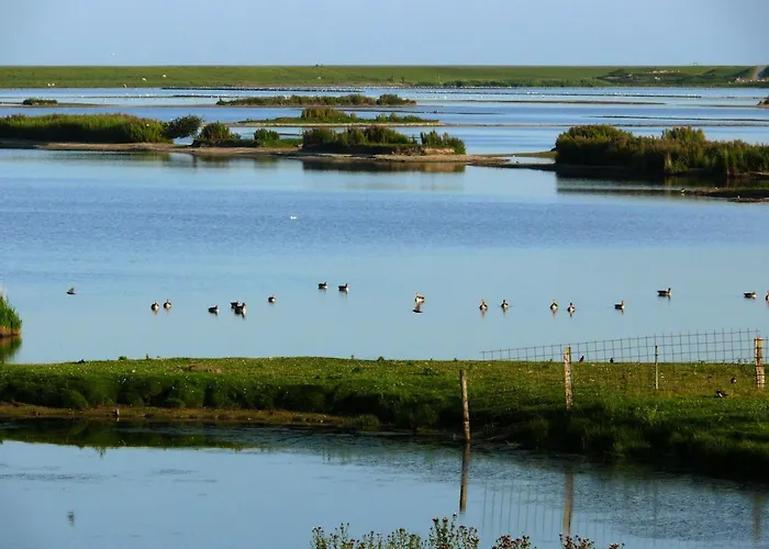 Haus-halligblick-ferienwohnung-pellworm * Dagebüll