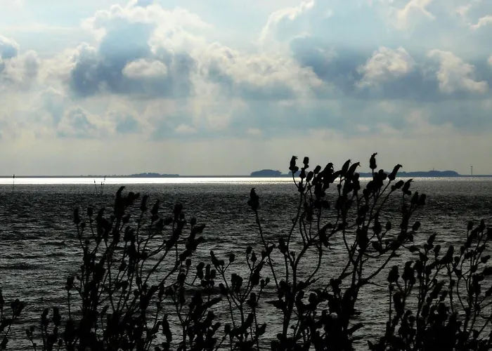 Haus-halligblick-ferienwohnung-pellworm * Dagebüll